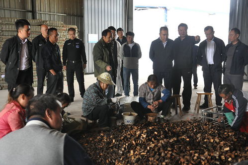 州委書記桑維亮赴鎮遠縣氵舞陽鎮調研林下經濟天麻產業